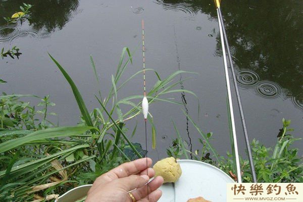 浅谈野钓调漂的体会(图1)