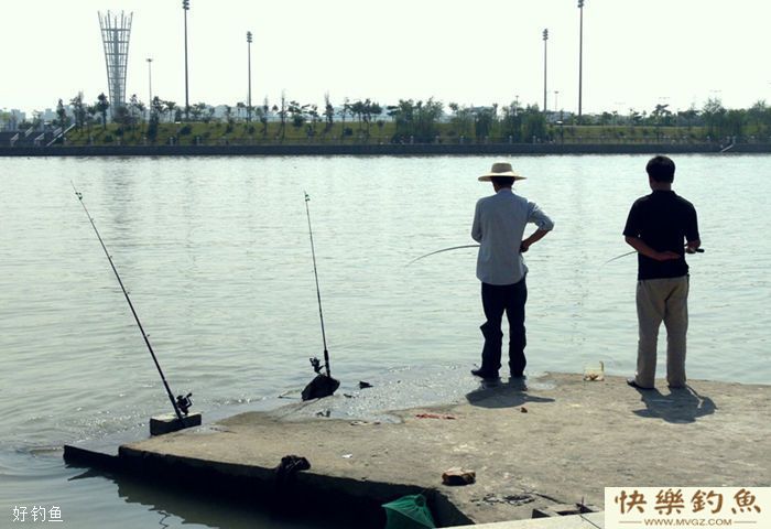 冬季钓鲫鱼应该如何正确地调漂(图2)