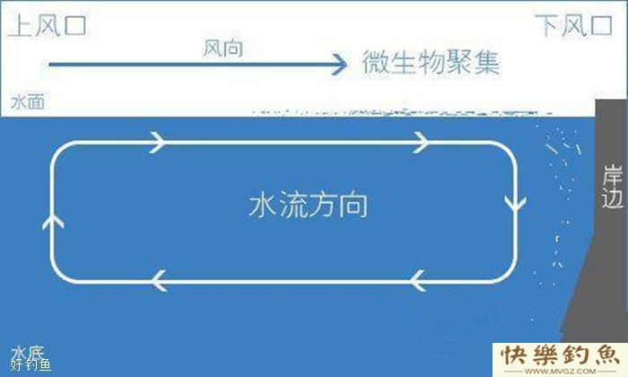 冬季节钓鱼技巧,刮风天钓点选择上风口还是下风口?(图3) 冬季节钓鱼技巧,刮风天钓点选择上风口还是下风口?(图3)