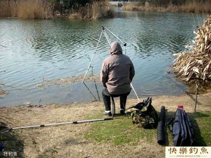 天冷钓不到鱼到底是哪里出错了？(图3)