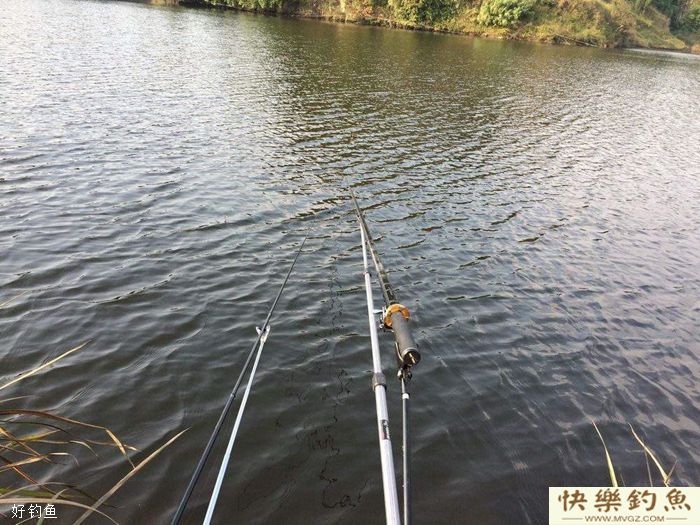 天冷钓不到鱼到底是哪里出错了？(图2)