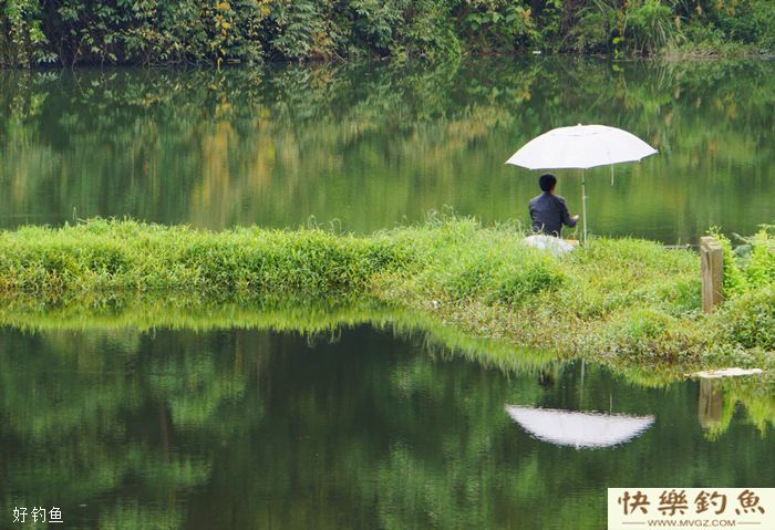 掌握好天气和水温规律，冬季钓鲫鱼一样收获丰厚(图1)
