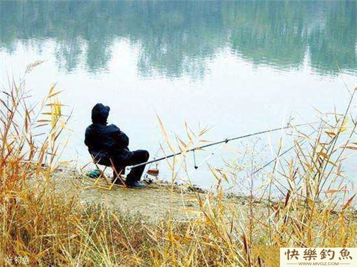 冬季钓鲫鱼5个策略让你连竿爆护(图2)