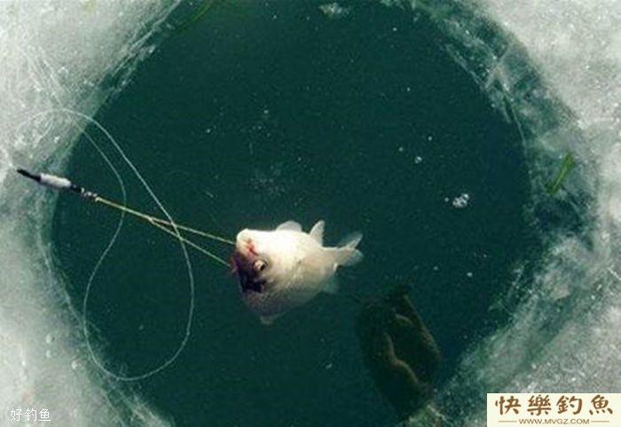 冬季钓鱼不空军的小技巧(图2)