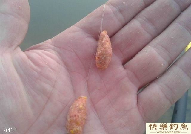 冬天钓大鲫鱼，来自高手的经验总结(图2)