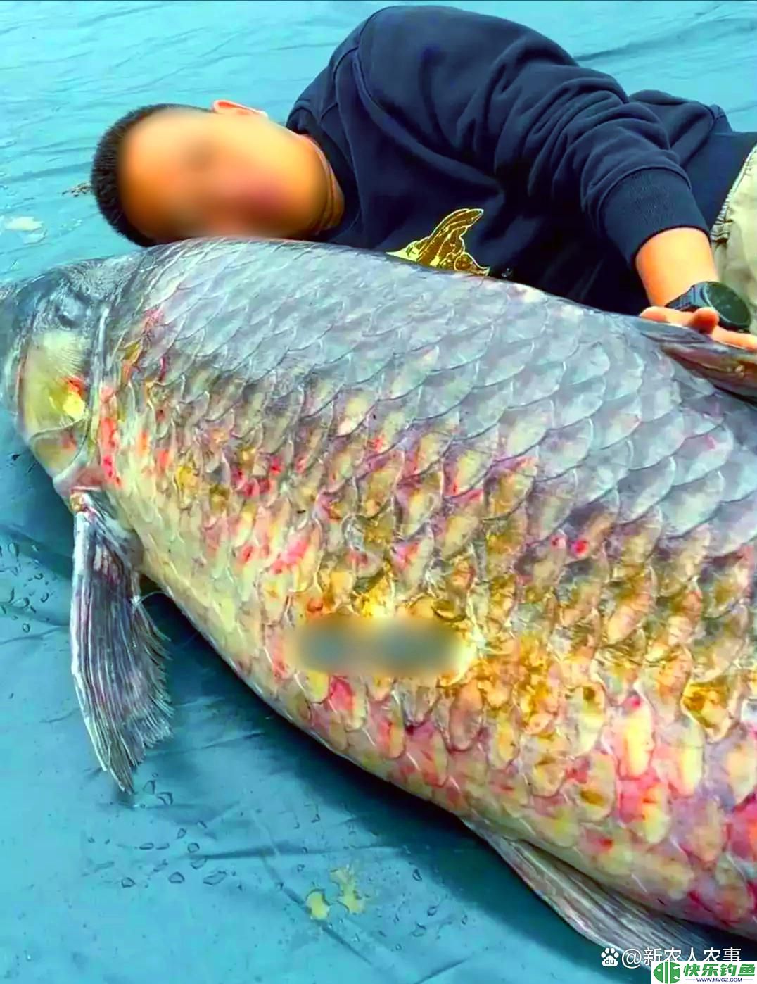 六旬大爷罕见钓获“青鱼王”，1.73米长重达136斤，卖了58000元(图6)