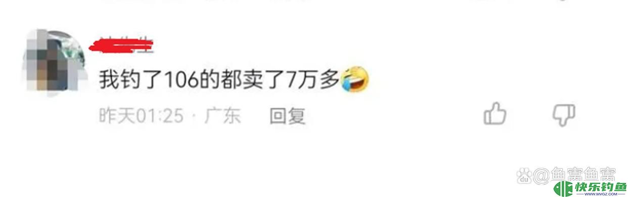 广东钓鱼人把钓获的青鱼养了20年,长到160斤,有人报价10万收购(图9) 广东钓鱼人把钓获的青鱼养了20年,长到160斤,有人报价10万收购(图9)