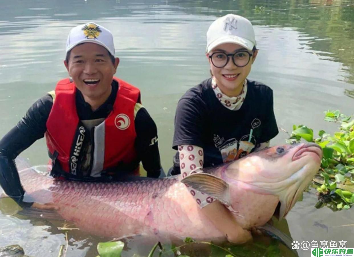 广东钓鱼人把钓获的青鱼养了20年,长到160斤,有人报价10万收购(图11) 广东钓鱼人把钓获的青鱼养了20年,长到160斤,有人报价10万收购(图11)