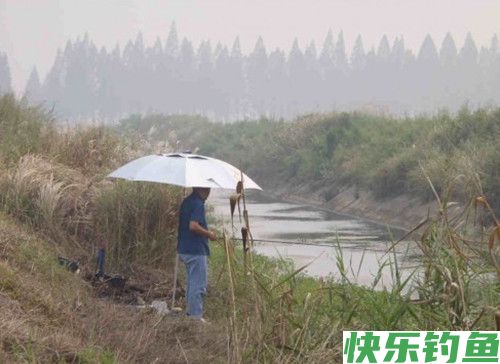 沟渠小河野钓的钓场饵料选择技巧(图1)