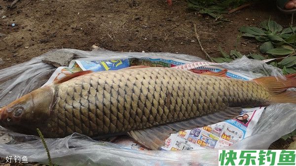 野钓大鱼的六大原则(图3)