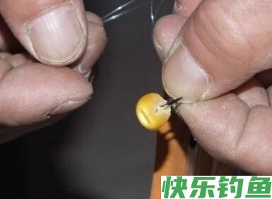 钓鲫鱼鲤鱼玉米饵料的制作方法(图2)