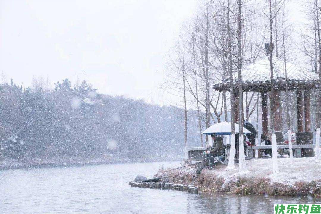 老钓友都喜欢雪天垂钓，掌握这4个技巧，渔获猛增好几倍(图2)