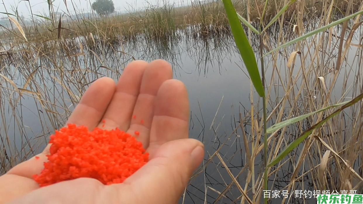 钓鲫鱼必须注意的几点，你就能比别人钓的多(图4)