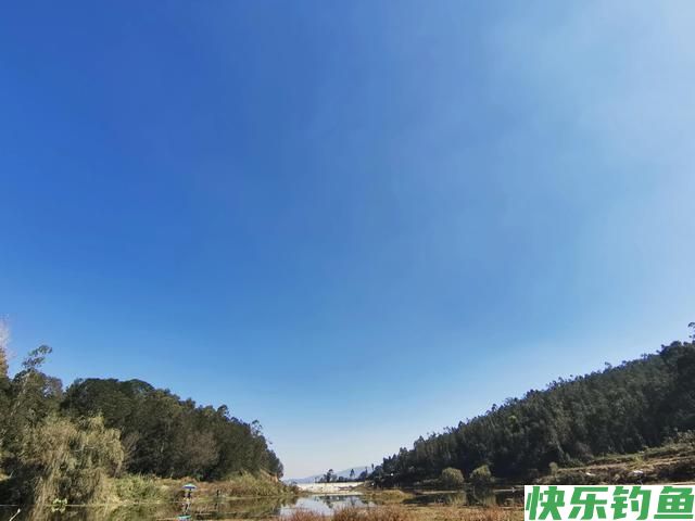二探安宁张保友梨园水库，有心钓鲫鱼无口，无心钓获奇怪大鲤鱼(图1)
