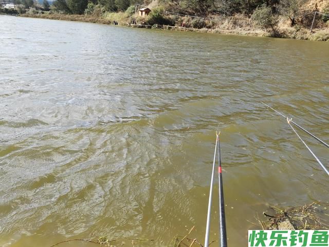 二探安宁张保友梨园水库，有心钓鲫鱼无口，无心钓获奇怪大鲤鱼(图3)