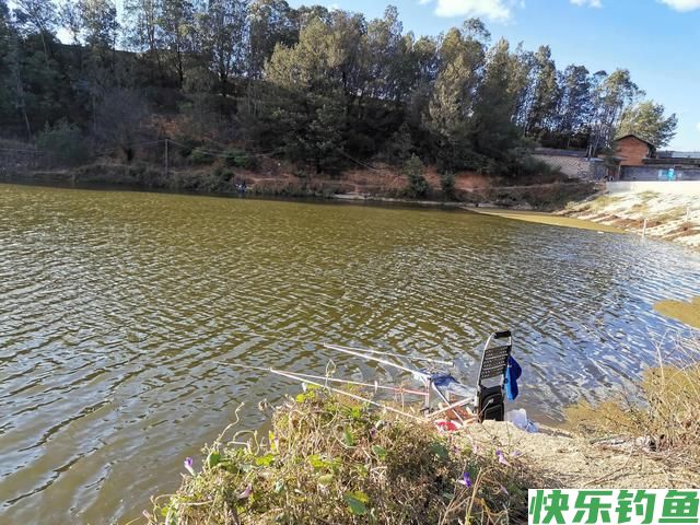 二探安宁张保友梨园水库，有心钓鲫鱼无口，无心钓获奇怪大鲤鱼(图7)