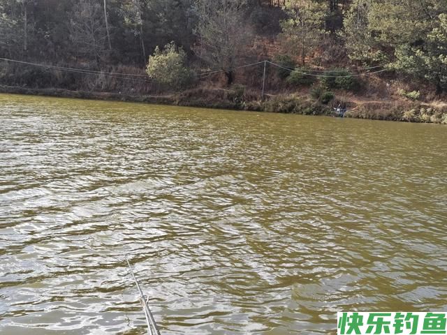 二探安宁张保友梨园水库，有心钓鲫鱼无口，无心钓获奇怪大鲤鱼(图5)