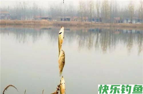 冬季串钩老少皆宜的野钓方法(图2)