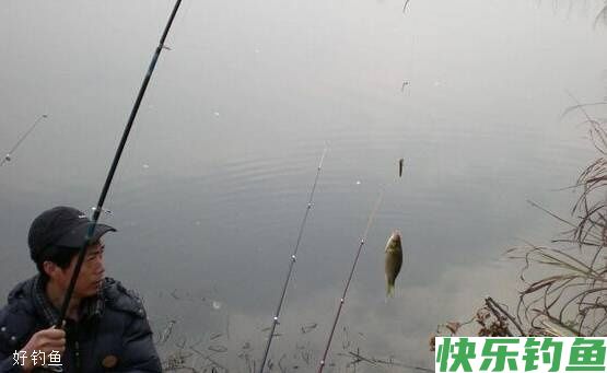 冬钓有十个好处你知道吗,看完以后都不想封竿了(图3) 冬钓有十个好处你知道吗,看完以后都不想封竿了(图3)