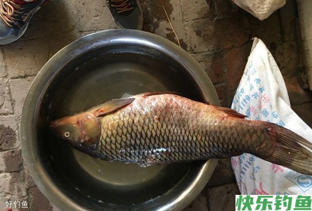 野钓水库选择钓位及饵料的技巧(图2)