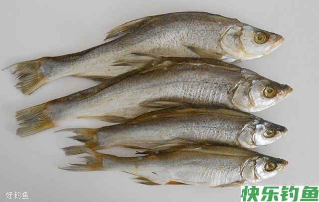 秋季野钓大鱼时的3个选漂技巧(图2)