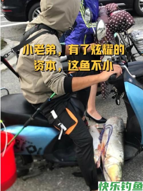 为什么现在很多人迷上了钓鱼，并且特别喜欢野钓？(图1)