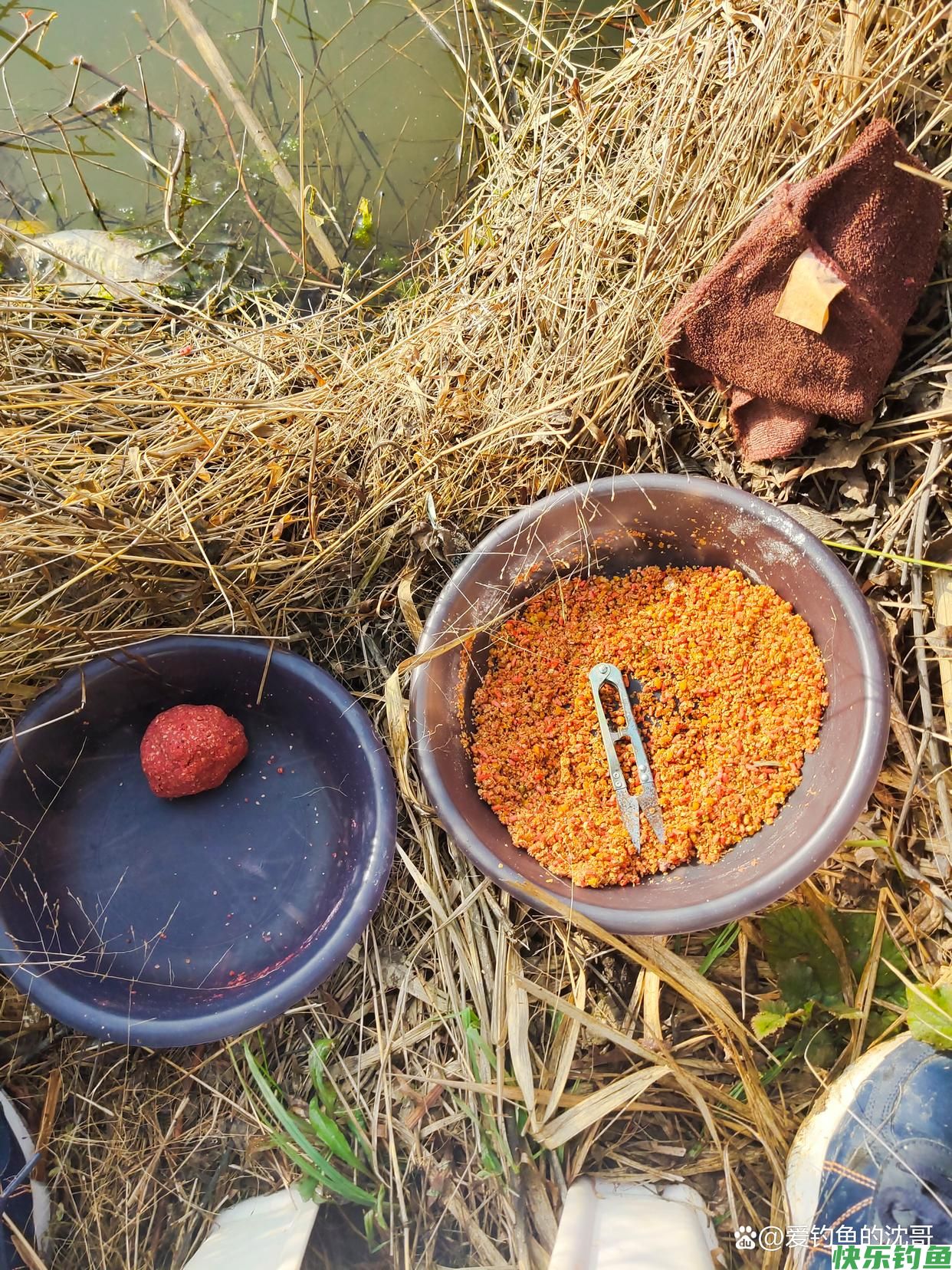 如何配一套野钓鲫鱼的饵料(图2)
