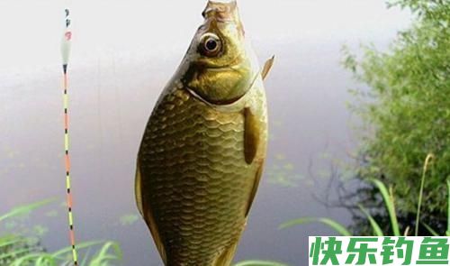 掌握这几个秘技，冬天野外沟渠钓鱼定能爆护不断(图2)