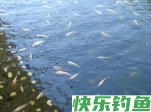 冬季钓鱼心慌慌，爆护技巧帮你忙(图3)