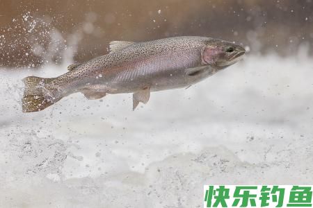 冬天钓鱼这些小技巧让你收获颇丰(图2)