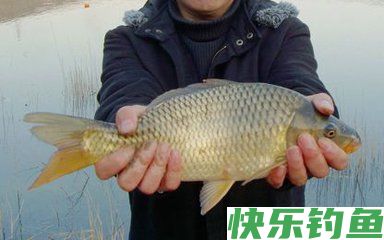 冬季钓鱼几个易被忽视的小技巧(图1)