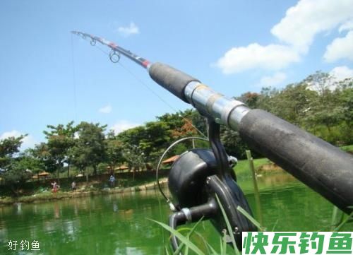 知道这些冬天钓鱼的小常识可以不用封杆了(图2)