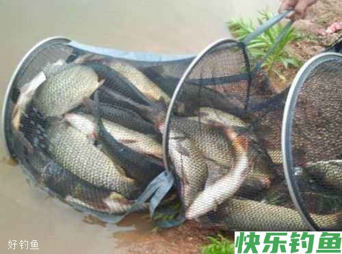 冬钓野钓，方法用对，轻松上鱼(图1)
