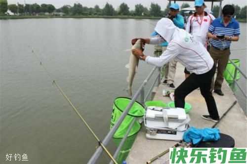 冬季海竿串钩钓大鲫鱼的几个高招，让你连连爆护(图1)