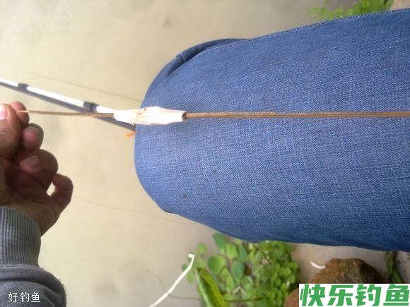 冬季钓鱼浮漂到底该怎么调？(图1)