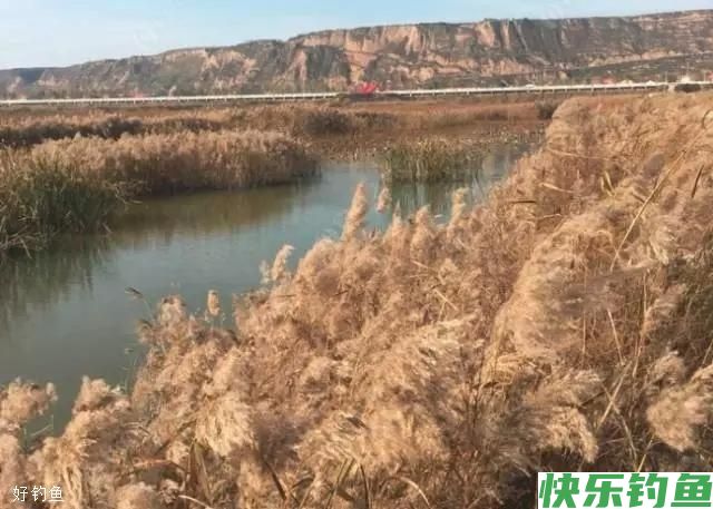 冬季做钓，选位是关键(图3)
