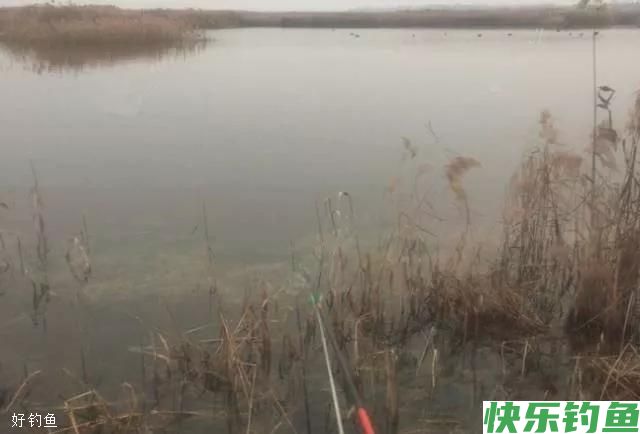 冬季做钓，选位是关键(图2)