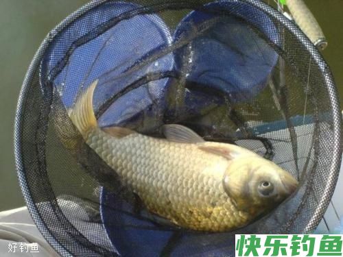 冬天钓具选用，真的需要一些小技巧(图1)