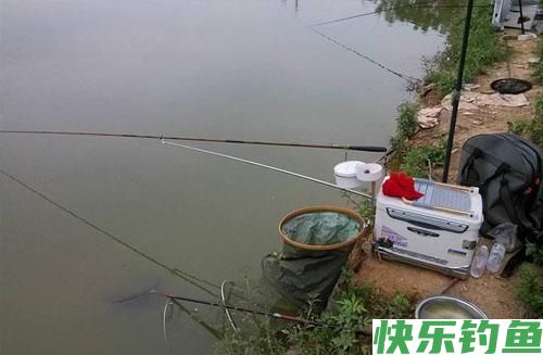冬天钓鱼，钓鲫鱼要走，钓鲤鱼要守(图2)