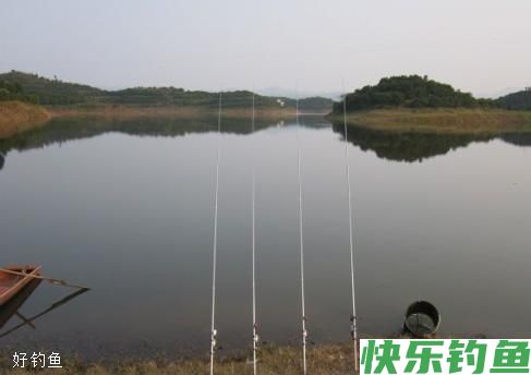 冬天钓鱼，钓鲫鱼要走，钓鲤鱼要守(图1)