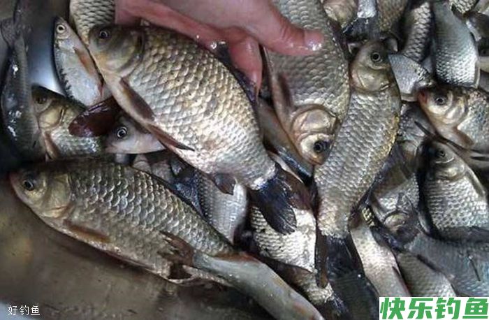 冬钓选钓位的4个关键性指标(图2)