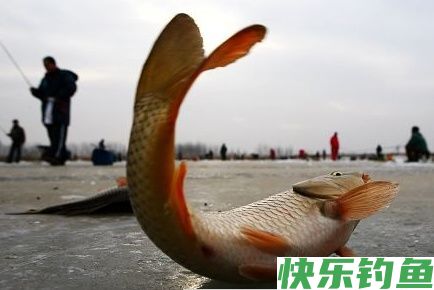 冬钓，鱼钩入口五要素(图2)
