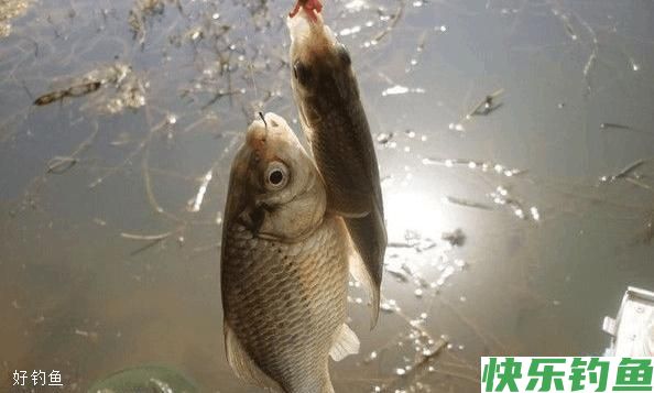 这8个阴天钓鱼技巧学会后不比晴天差(图1)