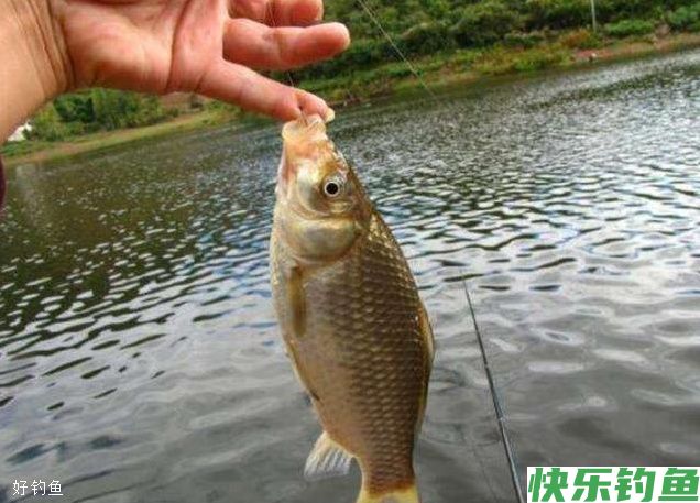 这8个阴天钓鱼技巧学会后不比晴天差(图2)