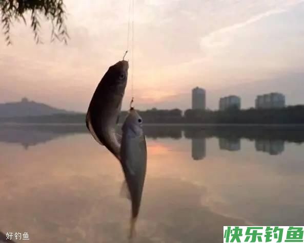 冬天最实用的钓鲫方法，想钓多少钓多少(图1)