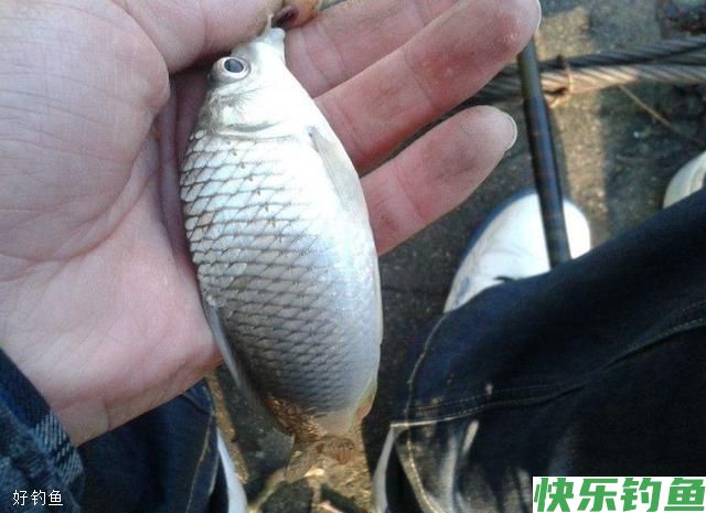 钓友应当知晓的冬季钓鱼五不钓(图2)