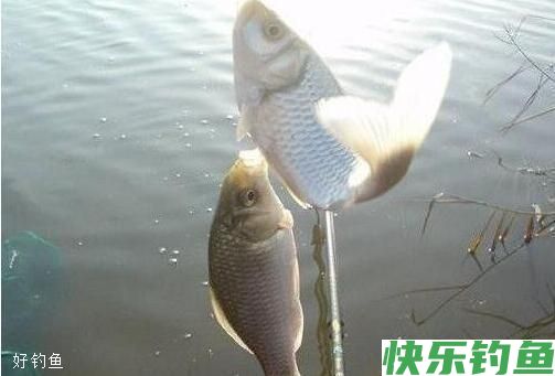 深冬季节零度以下应该怎么钓鱼？(图2)
