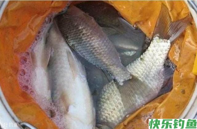 冬钓应对轻口鱼的小妙招(图2)