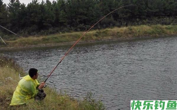 野钓鲤鱼没有秘诀，掌握这几个技巧，新手也能有收获(图2)
