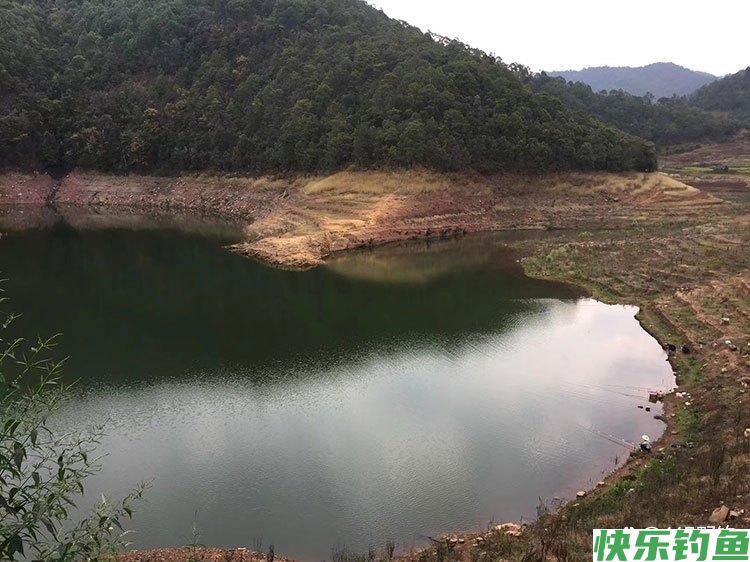 夏季河湖水库野钓鲫鲤草鱼技巧方法，饵料窝料配方，铅坠浮漂选择(图3)
